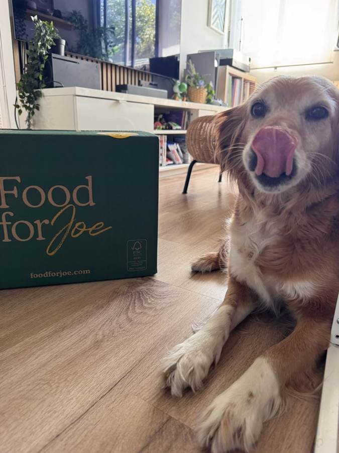 Food for Joe a examen: nuestra experiencia real con Sunny