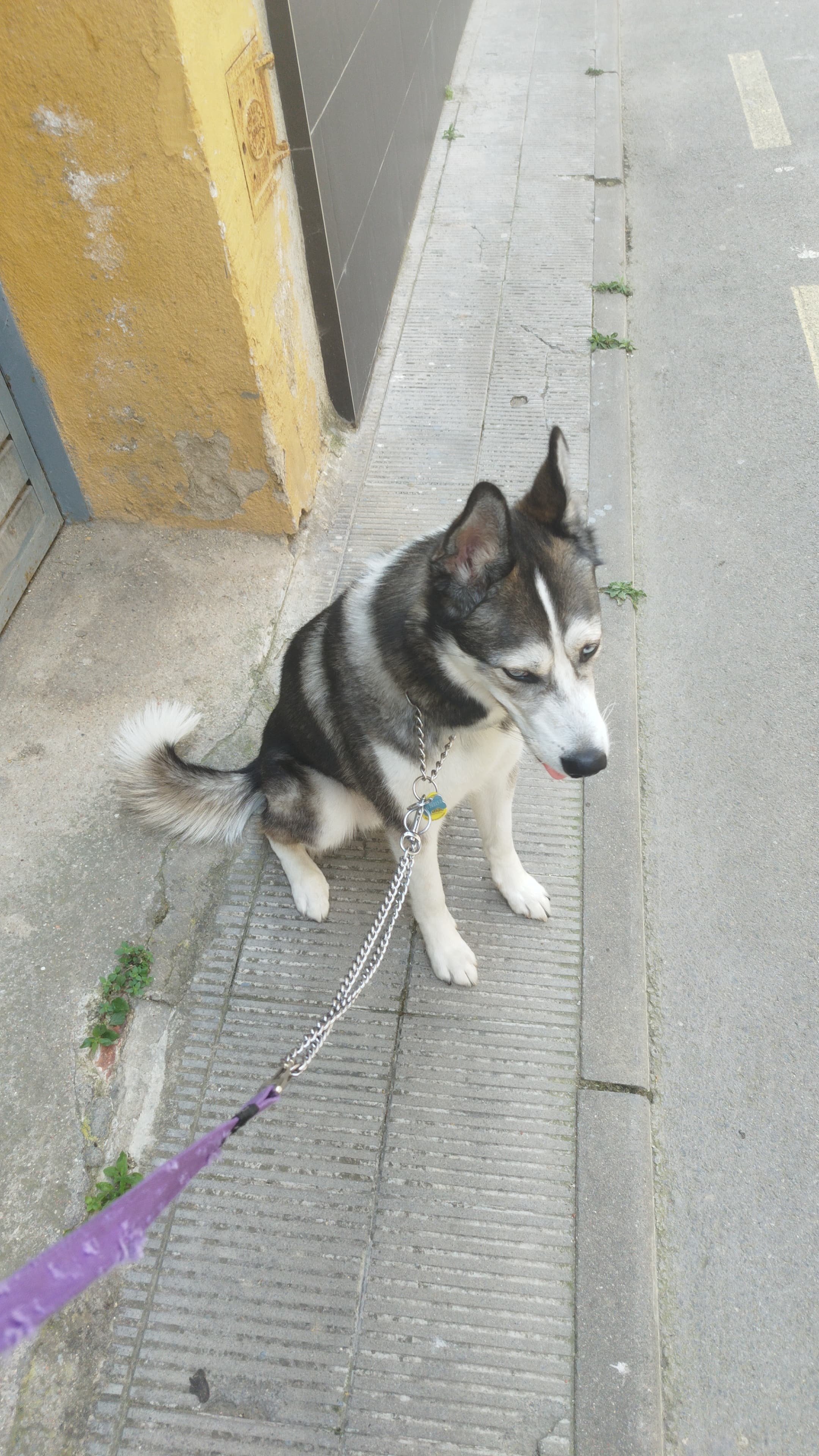 Facu C.