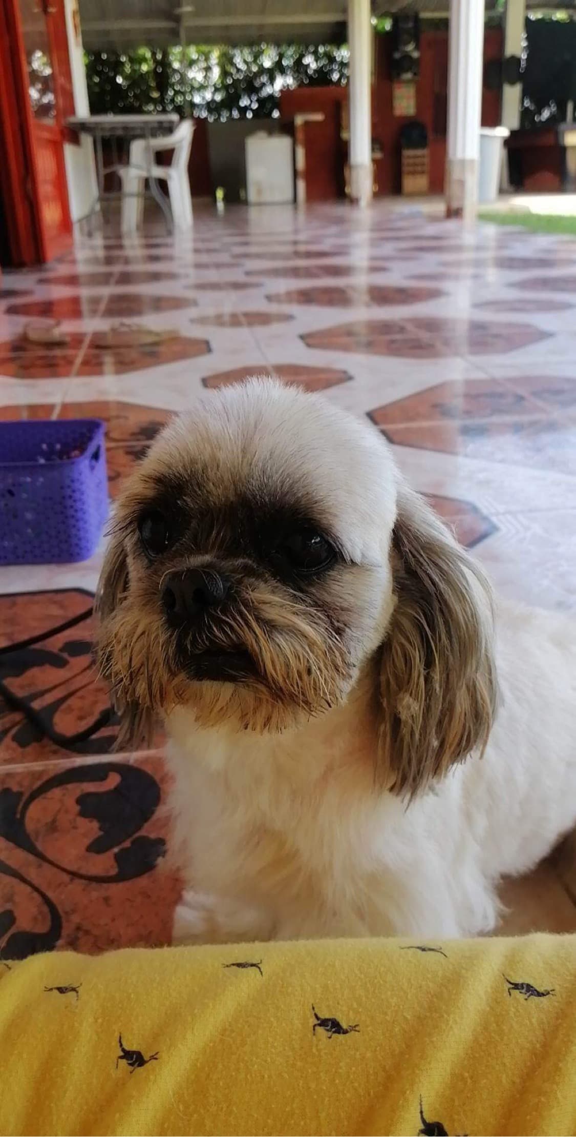 Leidy G.