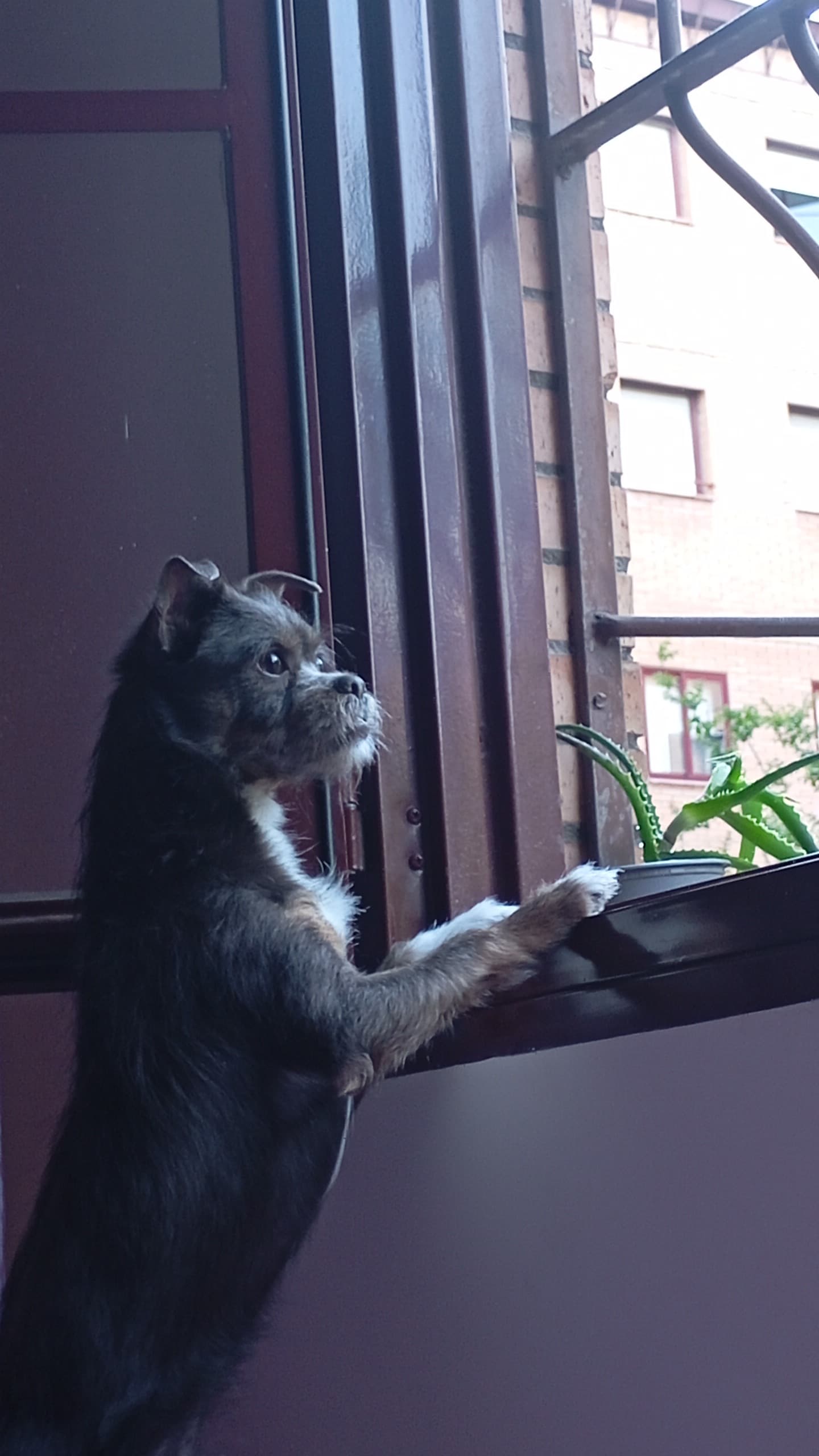 Aitana C.