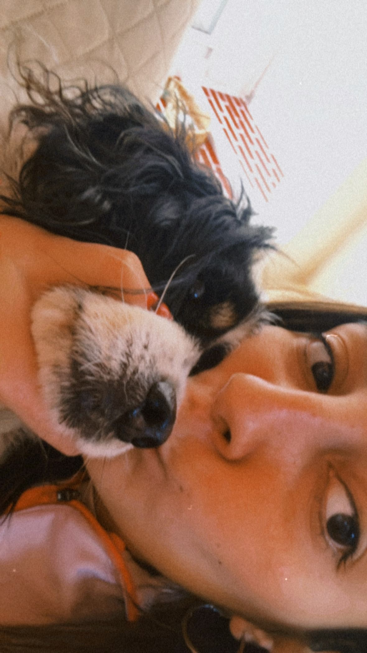 Vanesa F.
