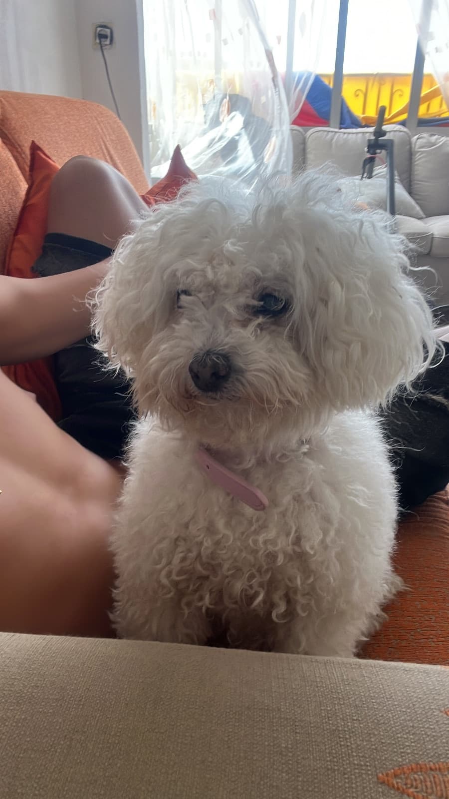 Dylan
