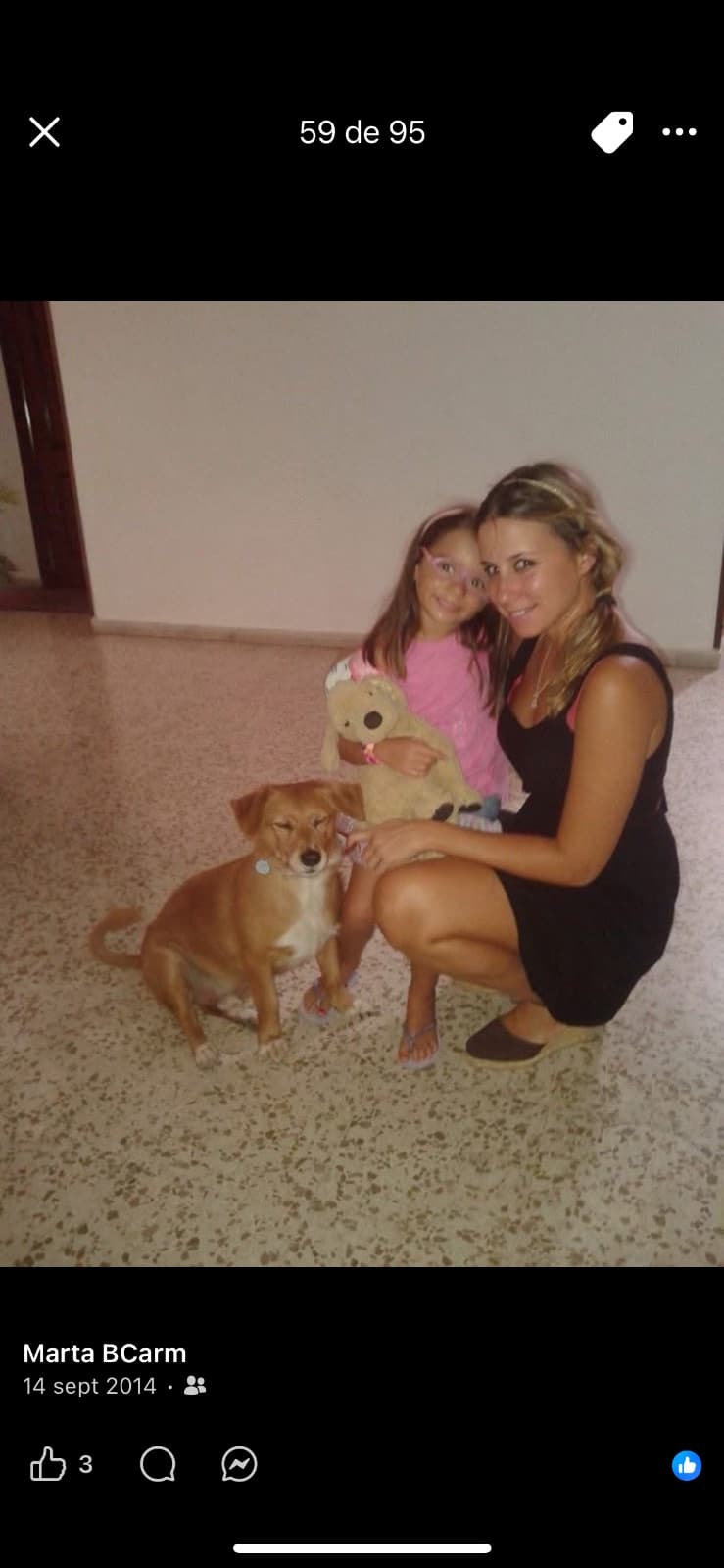 Beatriz M.